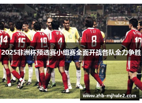 2025非洲杯预选赛小组赛全面开战各队全力争胜